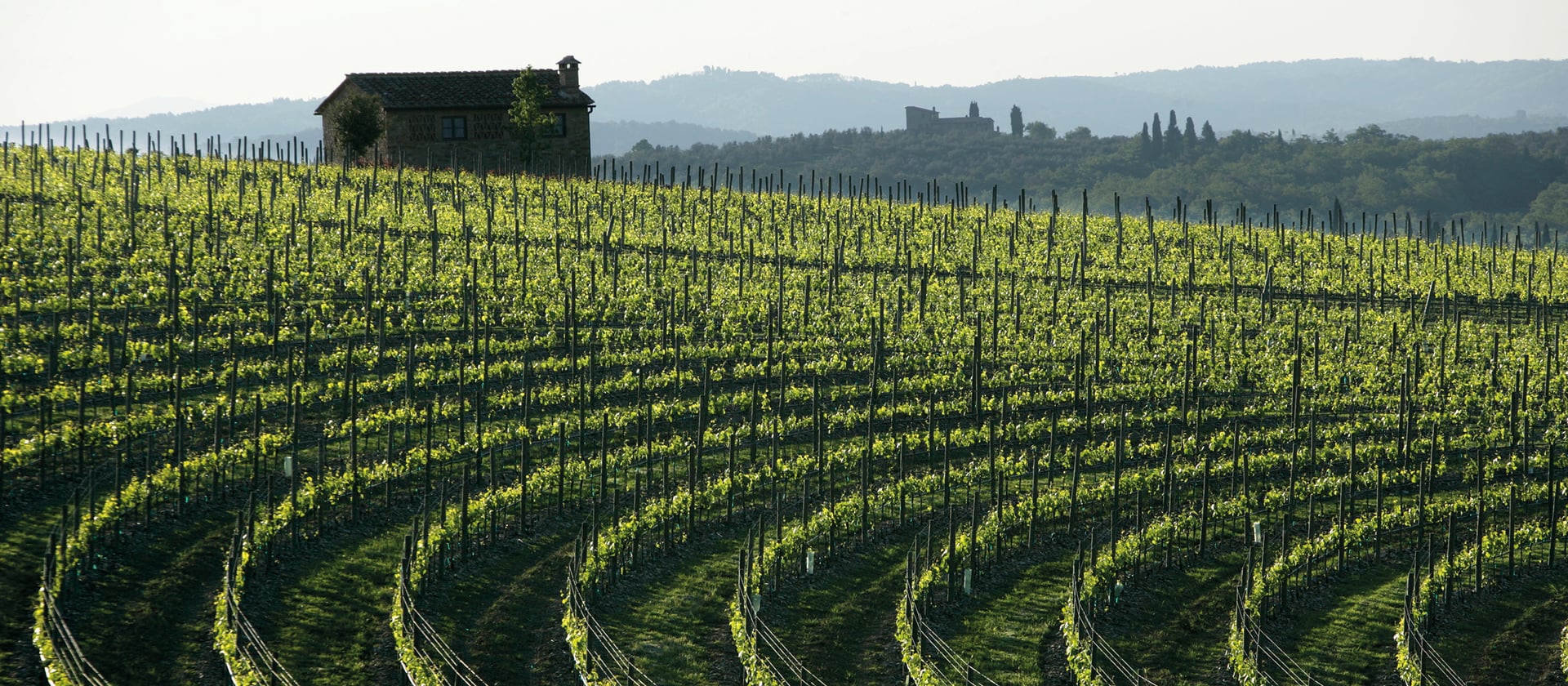 Aging well. New wine architectures in Italy